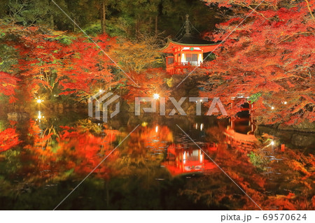 【京都府】 醍醐寺の紅葉(ライトアップ) 【京都府】 醍醐寺の紅葉(ライトアップ) 69570624