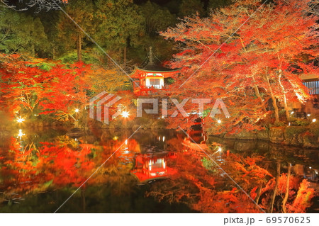【京都府】 醍醐寺の紅葉(ライトアップ) 【京都府】 醍醐寺の紅葉(ライトアップ) 69570625