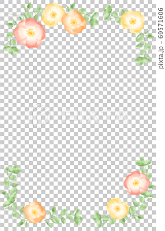 溫柔的罌粟和桉樹框架 溫柔的罌粟和桉樹框架 69571606