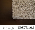 Beige shaggy carpet on wenge floor 69573198