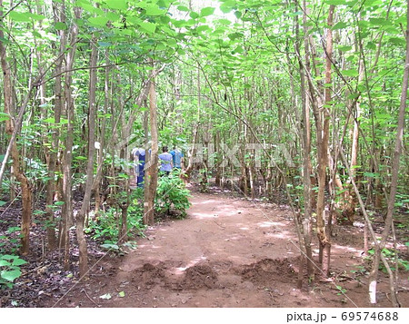 リロングウェ・ワイルドライフ・センター（マラウイ） 69574688