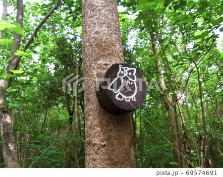 リロングウェ・ワイルドライフ・センター（マラウイ） 69574691