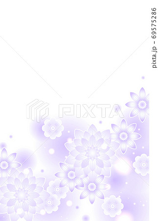 白いダリアのハガキテンプレート 白いダリアのハガキテンプレート 69575286