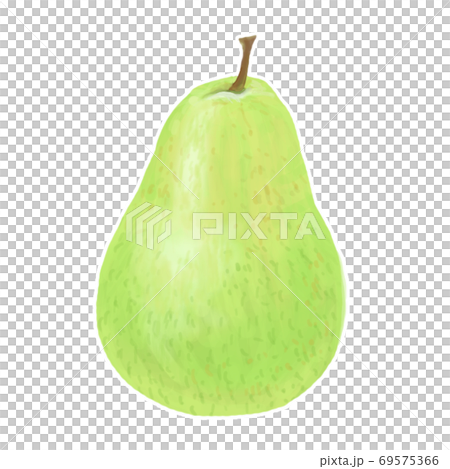 西洋梨與厚塗風格的插圖 西洋梨與厚塗風格的插圖 69575366