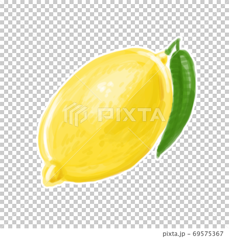 Lemon with thick-painted illustration Lemon with thick-painted illustration 69575367