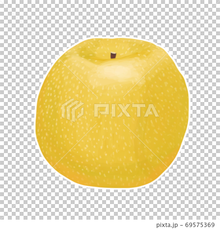Thick-painted illustration pear 69575369