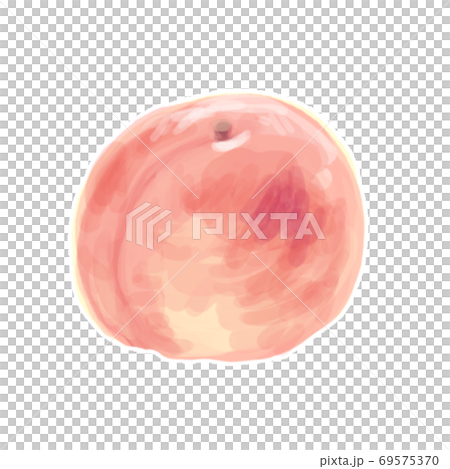 Thick-painted illustration peach Thick-painted illustration peach 69575370