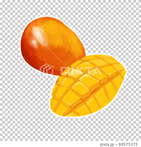 厚塗插圖芒果 厚塗插圖芒果 69575373