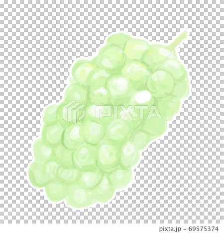 馬斯喀特的厚塗風格插圖 馬斯喀特的厚塗風格插圖 69575374