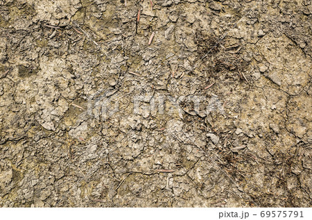concept background of nature dry concept background of nature dry 69575791