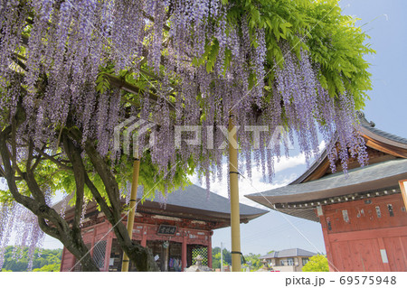 秩父三十四観音霊場第五番札所 語歌堂 秩父三十四観音霊場第五番札所 語歌堂 69575948