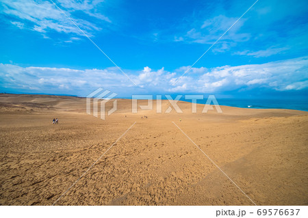 鳥取砂丘 鳥取砂丘 69576637