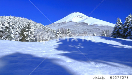 厳冬宝永富士の降雪の朝(水ヶ塚公園) 静岡県 厳冬宝永富士の降雪の朝(水ヶ塚公園) 静岡県 69577073
