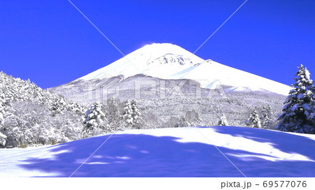 厳冬宝永富士の降雪の朝(水ヶ塚公園) 静岡県 厳冬宝永富士の降雪の朝(水ヶ塚公園) 静岡県 69577076