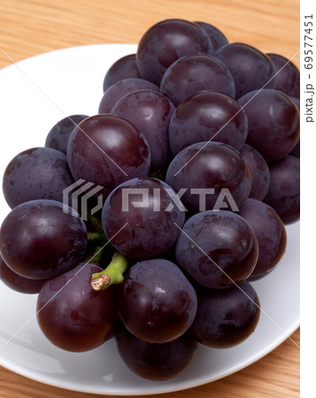 ブドウ フジミノリ ブドウ フジミノリ 69577451
