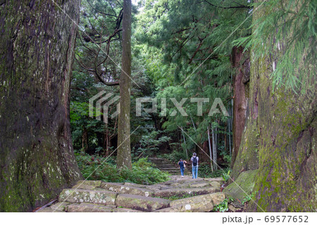 和歌山県　熊野古道　大門坂から夫婦杉を越えて歩いて行く人 69577652