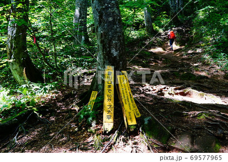 雨飾山 小谷温泉コース ブナ平 雨飾山 小谷温泉コース ブナ平 69577965