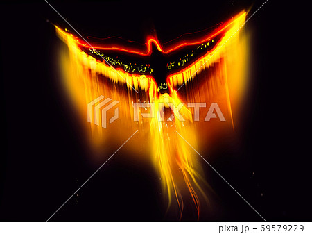 羽ばたく火の鳥のイラスト素材