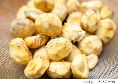 栗の皮むき、剥いた栗 栗の皮むき、剥いた栗 69579499