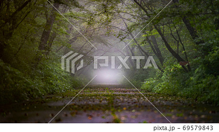 深い霧が漂う不思議への入口 69579843