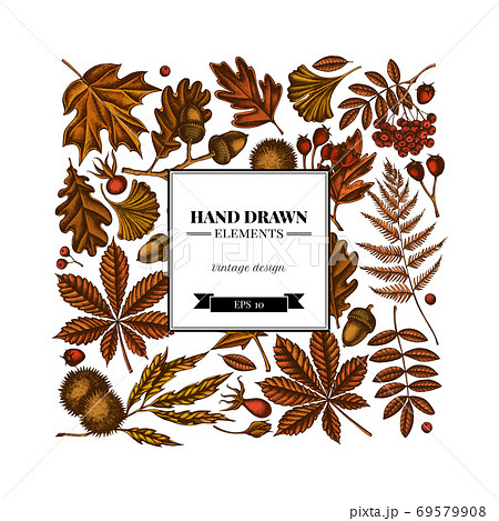Square design with colored fern, dog rose, rowan, ginkgo, maple, oak, horse chestnut, chestnut Square design with colored fern, dog rose, rowan, ginkgo, maple, oak, horse chestnut, chestnut 69579908
