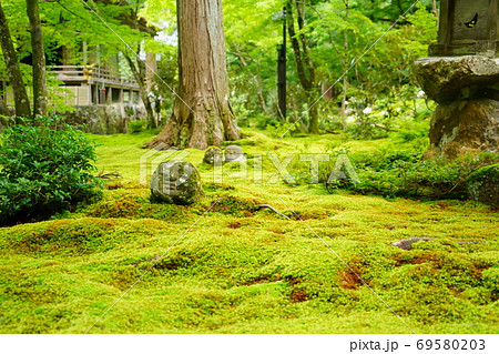 三千院・わらべ地蔵4 69580203