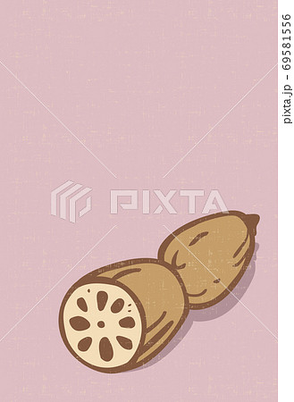 レンコン 69581556