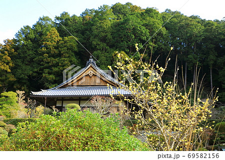 船宿寺　本堂とロウバイの花 69582156