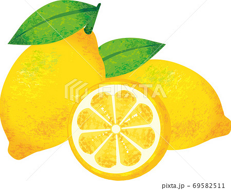 レモン水彩油絵風 レモン水彩油絵風 69582511