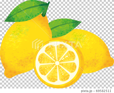 レモン水彩油絵風 レモン水彩油絵風 69582511