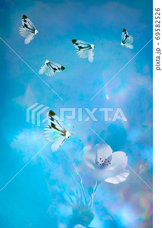青い背景に浮かび上がる花と蝶々の舞うファンタジーな世界のイラスト素材