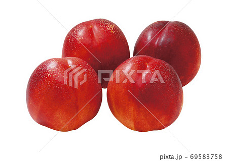 ネクタリン_09（切抜きパス付き） 69583758