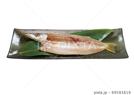 カマス開き_13（切抜きパス付き） 69583819