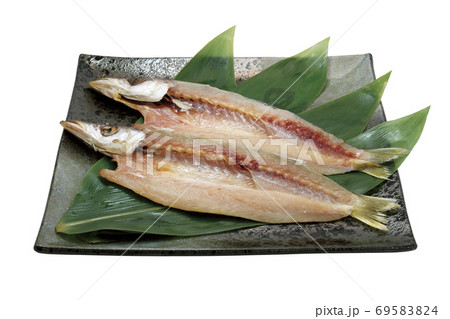 カマス開き_10（切抜きパス付き） 69583824