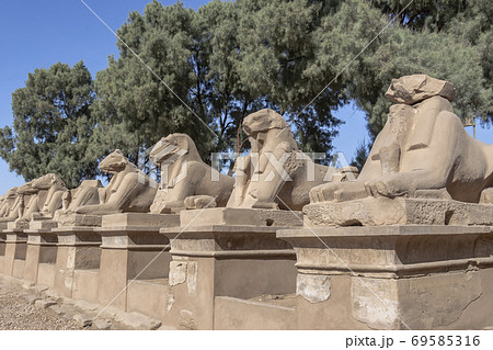 A corridor of ram-headed sphinxes at the entrance of Karnak Temple Complex 69585316