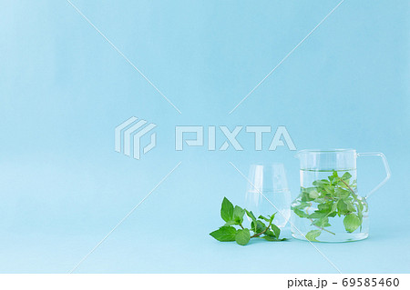 ペパーミント　ハーブティー 69585460