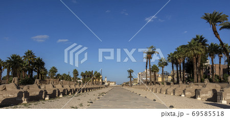 Luxor Temple Sphinxes is an avenue of Sphinxes connecting Luxor Temple and Karnak Luxor Temple Sphinxes is an avenue of Sphinxes connecting Luxor Temple and Karnak 69585518