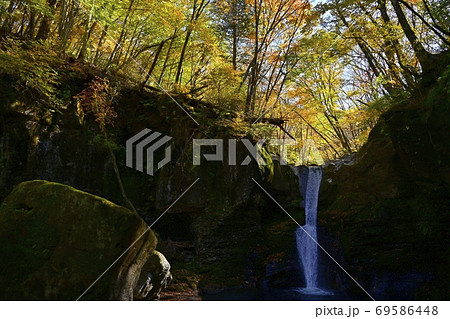 秋のおしらじの滝 69586448