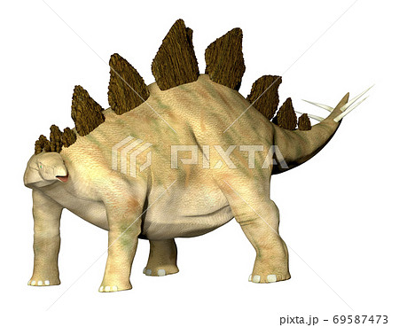 ステゴサウルス☆Stegosaur 69587473