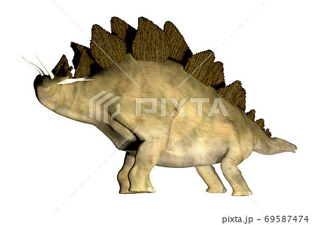 ステゴサウルス☆Stegosaur 69587474