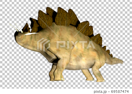 ステゴサウルス☆Stegosaur 69587474