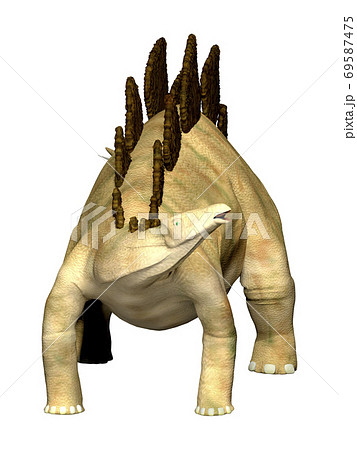 ステゴサウルス☆Stegosaur 69587475