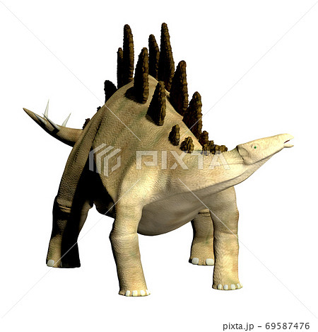 ステゴサウルス☆Stegosaur 69587476