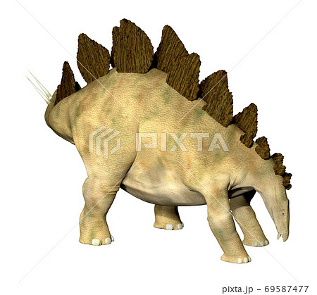ステゴサウルス☆Stegosaur 69587477