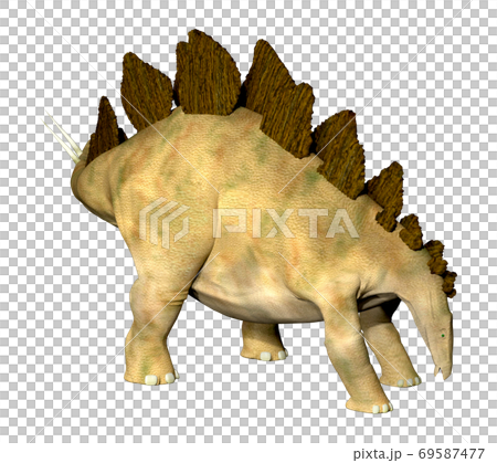 ステゴサウルス☆Stegosaur 69587477