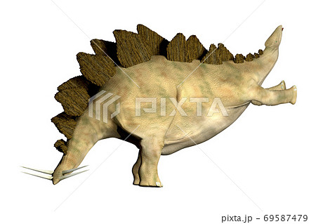ステゴサウルス☆Stegosaur 69587479