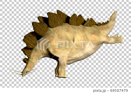 ステゴサウルス☆Stegosaur 69587479