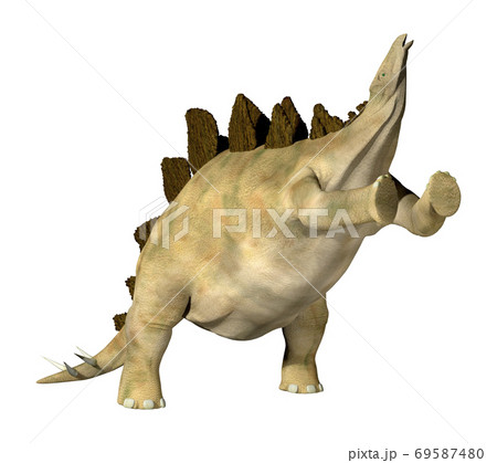 ステゴサウルス☆Stegosaur 69587480