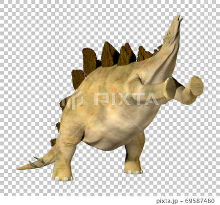 ステゴサウルス☆Stegosaur 69587480