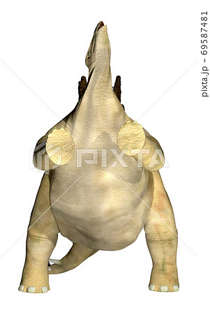 ステゴサウルス☆Stegosaur 69587481